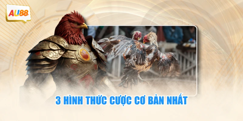 Đá Gà 3 3 hình thức cược cơ bản nhất