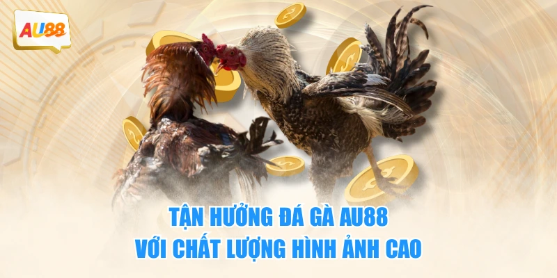 Đá Gà 1 Tận hưởng đá gà AU88 với chất lượng hình ảnh cao